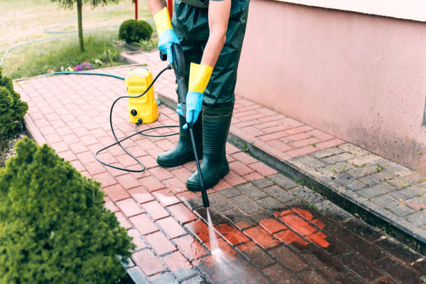 Best Affordable Power Washing  in Belleview, FL
