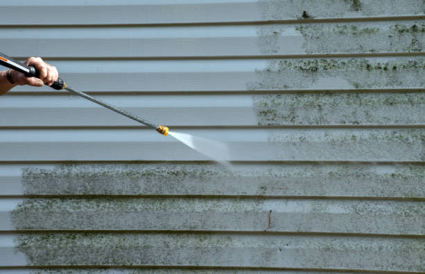 Best Pressure Washing Siding  in Belleview, FL