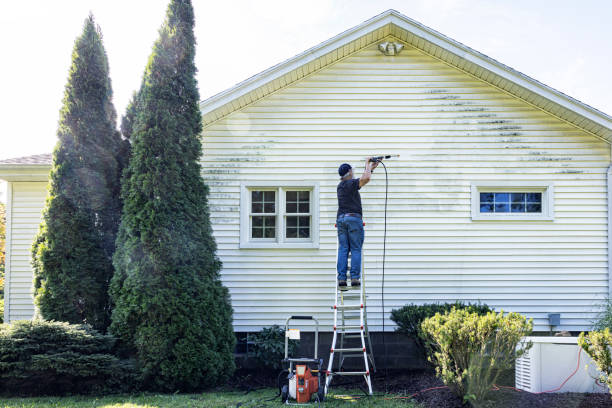 Best Roof Power Washing Services  in Belleview, FL