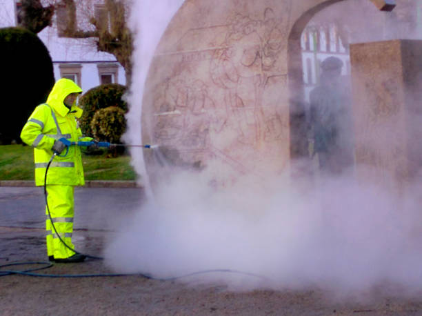 Best Exterior Home Cleaning  in Belleview, FL