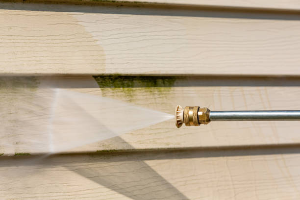 Best Residential Pressure Washing Services  in Belleview, FL
