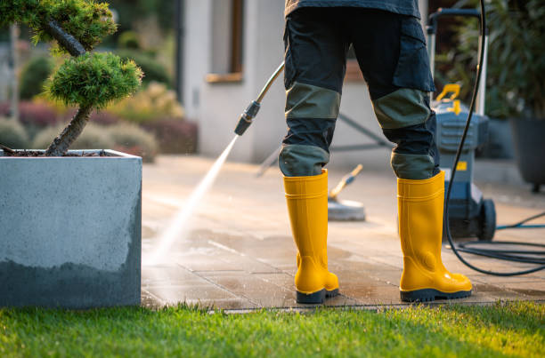 Best Best Pressure Washing Companies  in Belleview, FL